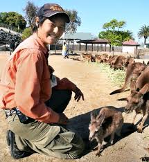 母亡きカンガルー 元気に1歳 若松区の動物園が人工哺育 西日本新聞ニュース
