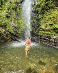 Garrison Willard (@gswillard) • Instagram photos and videos