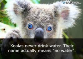 From furry creatures you never realized kissed to those who enjoy getting tipsy, these amazing animal facts are sure to wow even the biggest animal lovers out there. Weird Animal Facts