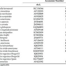 Image result for Asplenium markusbeckeri