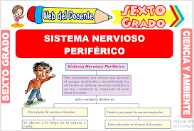 • reconozcan la ciencia y la tecnología como procesos en. Ciencia Y Ambiente Sexto Grado De Primaria 30 Fichas