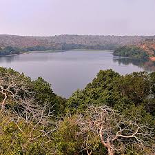 Chidikho Wildlife Sanctuary Is Home For Tigers Local Birds And Also The Migratory Birds It Is One Of The 35 Wildlife Wildlife Sanctuary Tourist Three Lakes