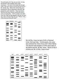 Gel electrophoresis virtual lab worksheet answer key. Dna Fingerprinting And Paternity Answer Key Dna Fingerprinting Practice Dna Fingerprinting Also Called Genetic Fingerprinting Or Dna Profiling Is A Method For Detecting Variable Sequences Within Dna To Distinguish Individuals