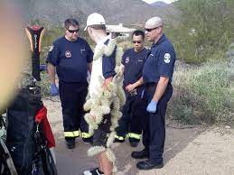 Are you looking for the best cactus gift ideas? Golfer Falls Back Into Jumping Chollah Cactus Pain Likely Ensues Photo Sportress Of Blogitude