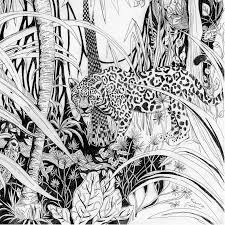 Jungle Drawing Fine Art Print Tropical Decor Rainforest Etsy In 2021 Jungle Drawing Jungle Illustration Jungle Pictures