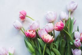Check spelling or type a new query. In Bloom This Winter Good Magazine