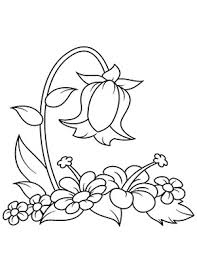 Als ausmalkalender oder als einladungskarten zu verschiedenen themen zum ausdrucken. Ausmalbild Glockenblume Zum Gratis Ausdrucken