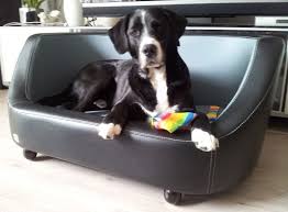 customer picture oxford dog bed black hund sofa hundesofa hundespielzeug