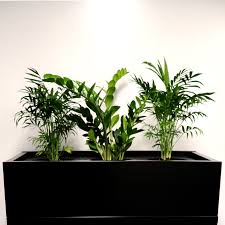 And threw in this before shot for posterity. Super Heavy Duty Metal Planter Box Black Value Office Furniture