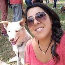 Rosa cossio (rosacossiop)