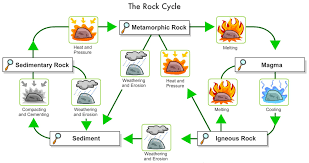 The Rock Cycle Shorncliffe Foreshore