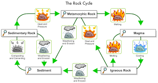 the rock cycle shorncliffe foreshore