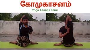 Gomukhasana Tamil Cow Face Pose Yoga Asanas Tamil Youtube