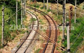 11 ziletarom și cfr marfă, în pandemia managerială. Contract Pentru TÄƒierea VegetaÅ£iei Con Metal Cf Srl Din Bucuresti A Semnat Cu Sucursala RegionalÄƒ Cf ConstanÅ£a Document