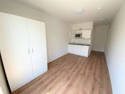 Die großstadt lockt mit einer florierenden. 1 Zimmer Wohnungen Oder 1 Raum Wohnung In Heilbronn Mieten