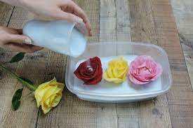 Silica gel for drying flowers uk. Activa Silica Gel For Flower Drying 1 5 Pound Amazon Co Uk Kitchen Home Silica Gel Flowers Uk Silica