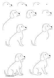 Animals step by step drawing instructions. Learn How To Sketch Draw 50 Free Basic Drawing For Beginners