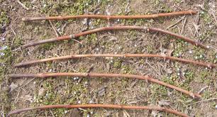 Check spelling or type a new query. Plantarea Si Ingrijirea Vitei De Vie Cum Inmultim Vita De Vie Retete Culinare Preparatedevis Ro