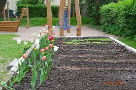 Hort Montessori Grundschule Stralsund Lebensraume