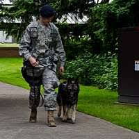 Capt. Jennifer McNaught, a veterinary corps officer