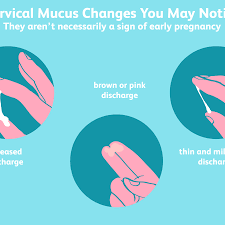 After ovulation, there are multiple signs you may begin to experience. Can Cervical Mucus Help You Detect Early Pregnancy