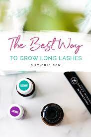 Tried a lot of chemical products to regrow eyebrow or eyelashes but not getting the desired result. Diy Eyelash Growth Serum For Natural Eyelash Growth