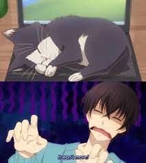 A description of tropes appearing in my roommate is a cat. Anime Trending Anime My Roommate Is A Cat Hey Facebook