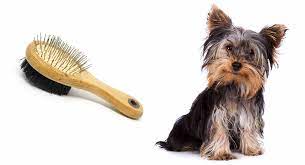 Below are the best grooming sprays for yorkies that yorkie dog breed owners can use whenever they groom their yorkie. Pin Brush For Yorkie Cheaper Than Retail Price Buy Clothing Accessories And Lifestyle Products For Women Men