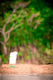 Photography Blur Road Nature Background Hd Add depth of field, create a miniature effect, or blur entire photos for beautiful web graphics. photography blur road nature background hd