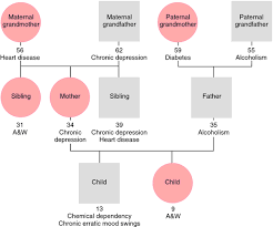 Genogram Definition Of Genogram By Medical Dictionary Genogram Template Family Genogram Therapy Worksheets