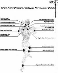 It's an acupuncture point located at the absolute top of your head, and is often used for curing headache, dizziness, eye pain, tinnitus and so on. 8 Pressure Points Ideas Pressure Points Martial Arts Martial