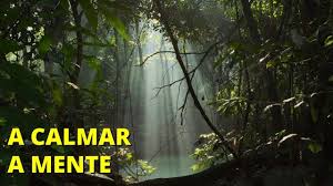 Violão instrumental,música tranquila,meditar,relaxar,acalmar mente@bpclaudineiejosie sigaativando motivação. Musica Relaxante Acalmar A Mente E Relaxar Youtube