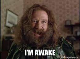 I M Awake Robin Williams What Year Is It Jumanji Make A Meme