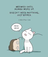 50 Extraordinary Cat Comics In 2020 Cat Quotes Funny Cat Comics Cute Cats