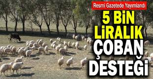 5 Bin Liralik Coban Destegi
