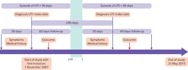 Antibiotic Management Of Urinary Tract Infection In Elderly Patients In Primary Care And Its Association With Bloodstream Infections And All Cause Mortality Population Based Cohort Study The Bmj