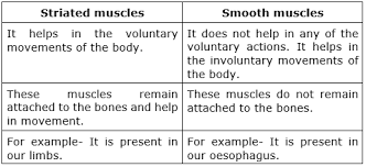 It is an involuntary muscle, which shows no cross stripes even when examined under a microscope. Https Betrained In All In One 9 Science Tissues Solution