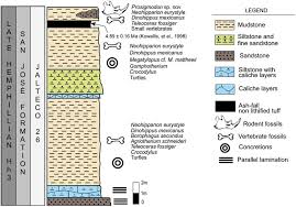 É a única espécie descrita para o gênero calassomys. A New Species Of Sigmodontinae Rodentia From The Late Hemphillian Of Central Mexico And Comments On The Possible Radiation Of This Group