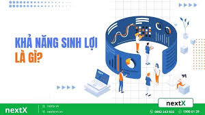 Quy trình 3 bước đánh giá khả năng sinh lợi của doanh nghiệp hiệu quả