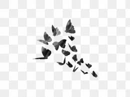 Our stickers are a great way to show off your unique personality and aesthetic through your edits. Picsart Photo Studio Sticker Editing Decal Png 1024x1024px Picsart Photo Studio Android Black Black And White Butterfly Download Free