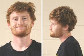 Tanner Vasile — Houston County Jail Bookings