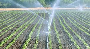 Definition Irrigation Systems Water Bxe