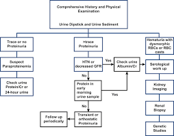 Image result for Isolated Proteinuria