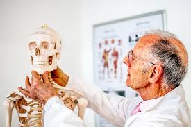 Maybe you would like to learn more about one of these? Apa Saja Susunan Tulang Pada Manusia Kelas Pintar