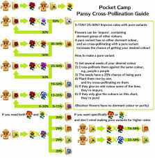 11 Twitter Animal Crossing Pocket Camp Animal Crossing Pollination