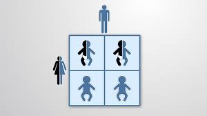 Punnett Squares Protocol
