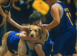 Walt disney productions / album; It S Been 20 Years Since Air Bud Made Us All Want Dogs But What Is That Lucky Kid Up To Now
