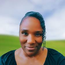 Dino's Try: Baking: Amazon.co.uk: McCombs, Michelle M, McCombs Jr, James,  McCombs, Michelle M: 9781961049000: Books