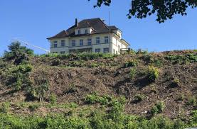 Wie sind ihre wohnträume damit zu vereinbaren? Villa Fuchs In Heilbronn Steht Auch Ein Garten Unter Denkmalschutz Baden Wurttemberg Stuttgarter Nachrichten