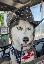 Erica Caudill's Instagram, Twitter & Facebook